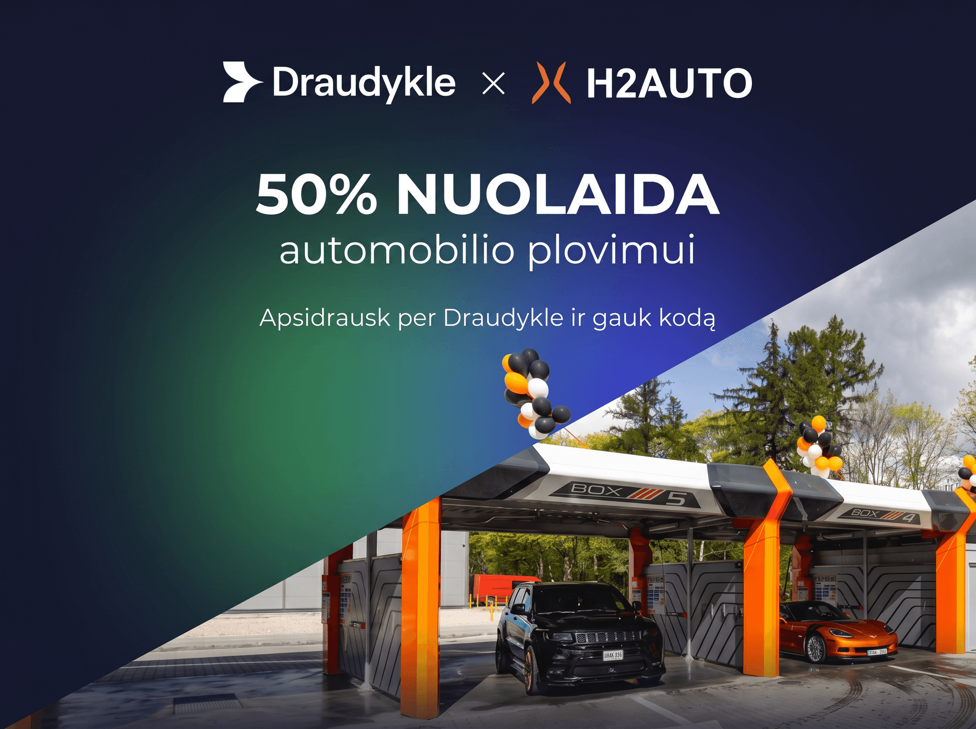 Akcija: draudimas internetu, 50 % nuolaida plovimui
